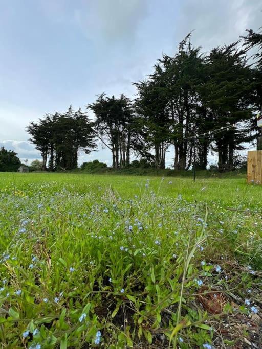 Ballybur Cottage Kilkenny Bagian luar foto